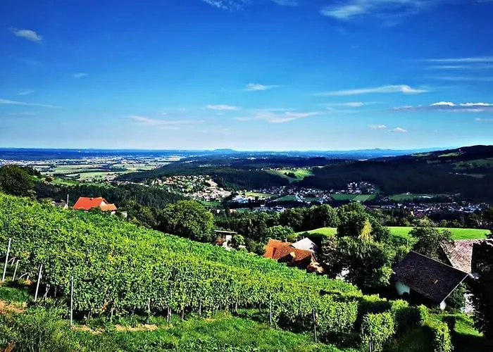 Wiednermichl - Urlaub In Den Weinbergen *